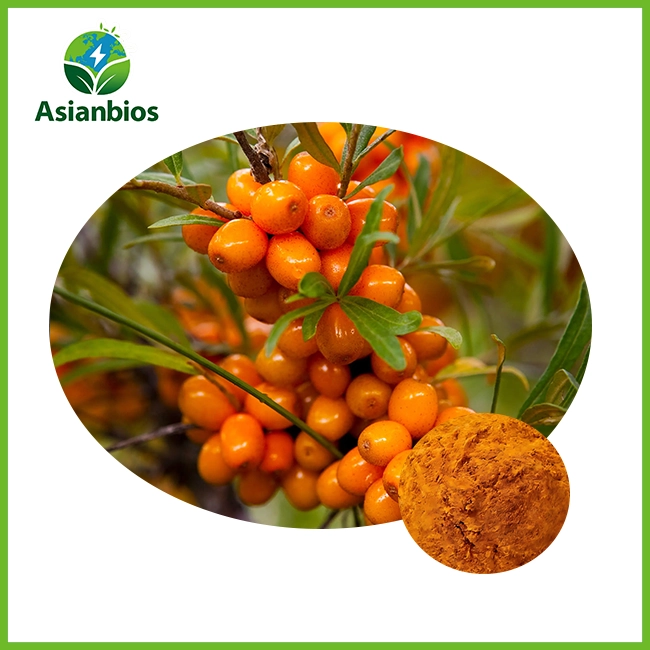 Dried Seabuckthorn Fruit Powder